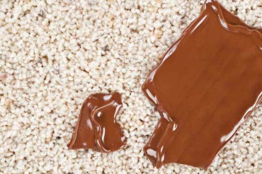 How To Remove Chocolate From Carpet? Common Problems And Solutions